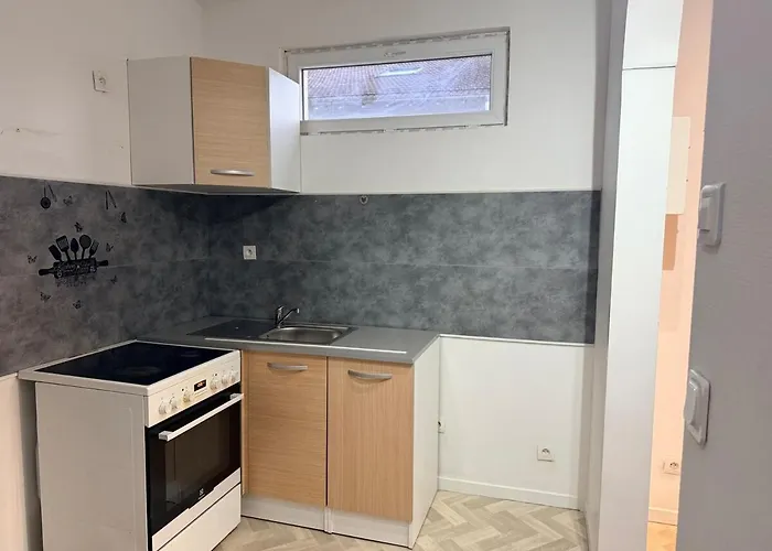 Apartment Family House Or Golbey